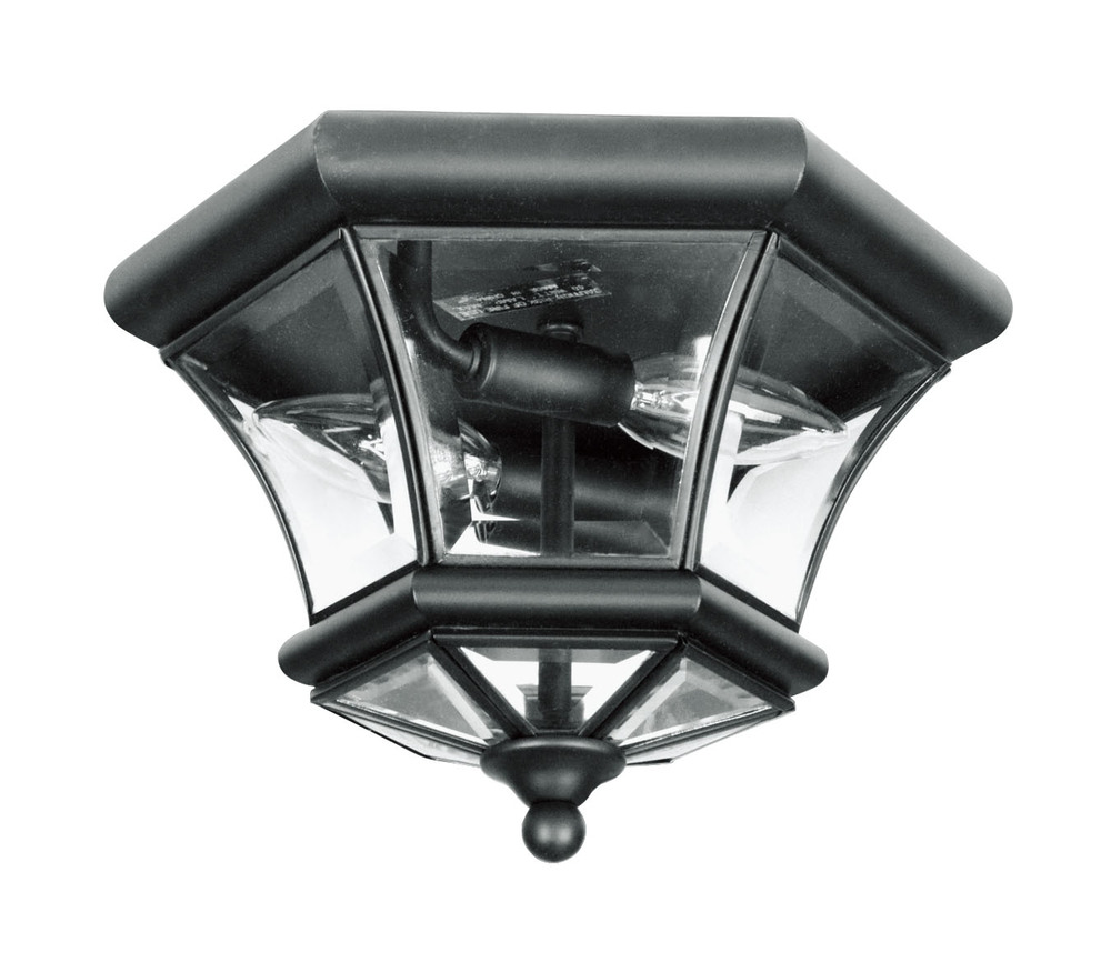 2 Light Black Ceiling Mount