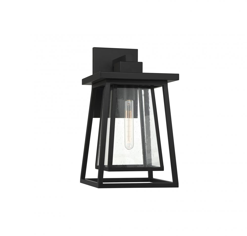 Denver 1-Light Outdoor Wall Lantern in Matte Black