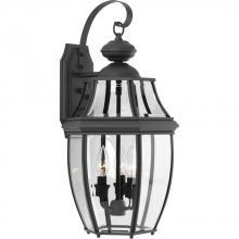 Progress P6612-31 - New Haven Collection Three-Light Large Wall Lantern