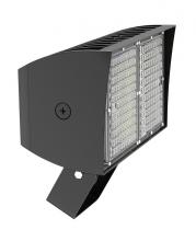 RAB Lighting PIPXL70TY/D10/PFS - PIP XL FLOODLIGHT 70W WARM