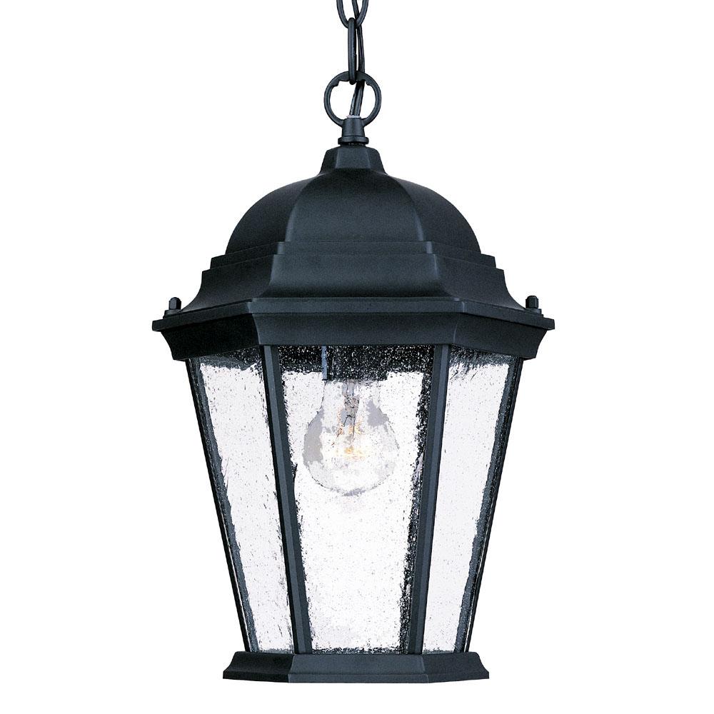 Richmond Collection Hanging Lantern 1-Light Outdoor Matte Black Light Fixture