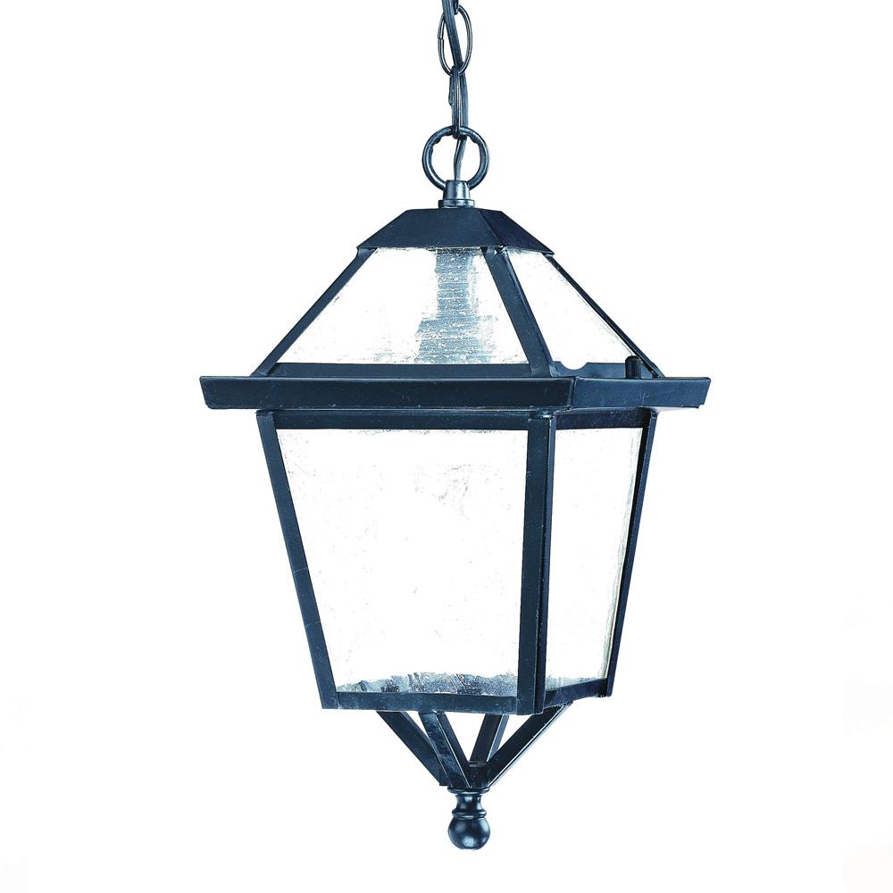 Hanging Lantern 1-Light Outdoor Matte Black Light Fixture