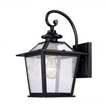 Acclaim Lighting 9702BK - Salem Collection Wall-Mount 1-Light Outdoor Matte Black Light Fixture