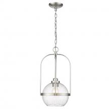 Acclaim Lighting IN10010SN - Devonshire 1-Light Pendant