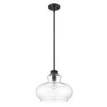 Acclaim Lighting IN21251BK - Torrel 1-Light Matte Black Pendant