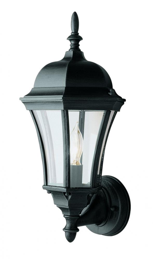 1LT OUTDOOR LANTERN