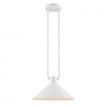 Trans Globe 11761 WH - Roscoe 1 - Light Industrial Pendant