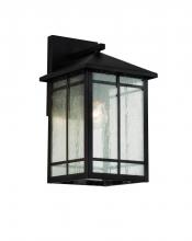 Trans Globe 40341 ROB - 1LT WALL LANTERN-MED-SQUARE PA