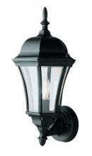 Trans Globe 4502 BK - 1LT OUTDOOR LANTERN