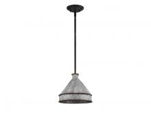 Golden 0877-M ABI-GV - Jasper 1-Light Pendant in Antique Black Iron with Galvanized Steel