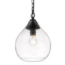 Golden 1094-S BLK-HCG - Small Pendant