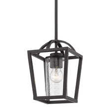 Golden 4309-M1L BLK-BLK-SD - 1 Light Mini Pendant