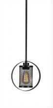 Toltec Company 1602-ES-LED18A - Pendants