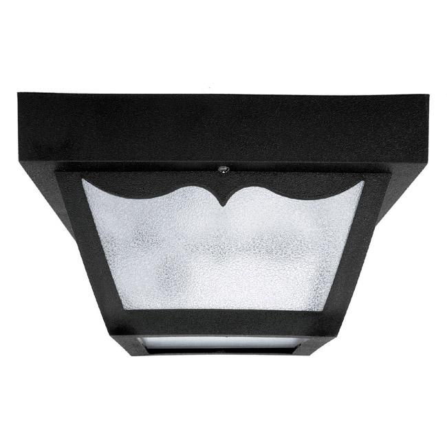 1 Light Outdoor Flush Mount