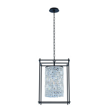 Allegri by Kalco Lighting 036150-052-FR001 - Joni 16 Inch Foyer