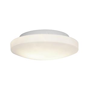 LED Flush Mount