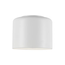 Dainolite EMI-81FH-MW - 1LT Incand Flush Mount,  MW Shade