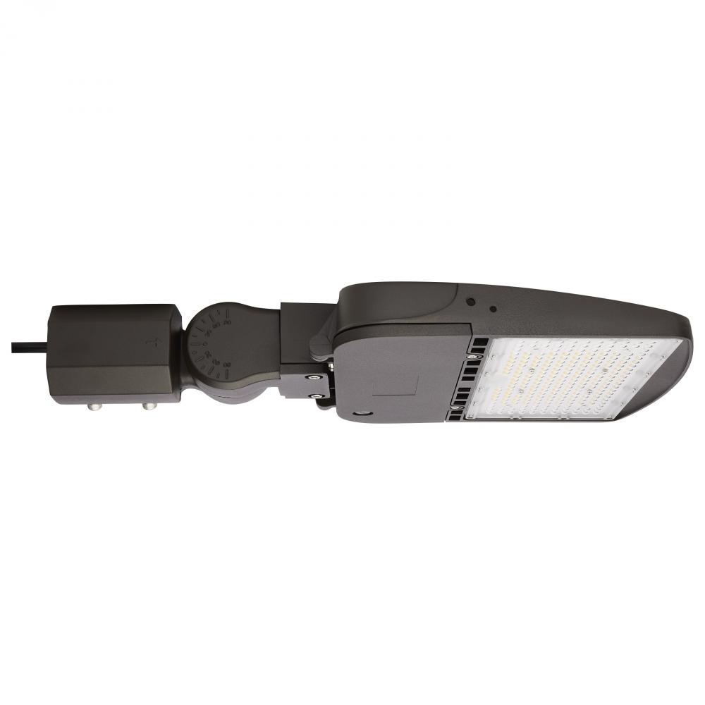 LED Area Light Type V; 100W; Bronze Finish; 4000K; 277-480V