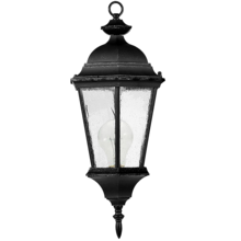 HOMEnhancements 19302 - Martin Hanging Coach Light - MB