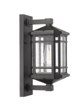 HOMEnhancements 18620 - Black Coach Light-Medium