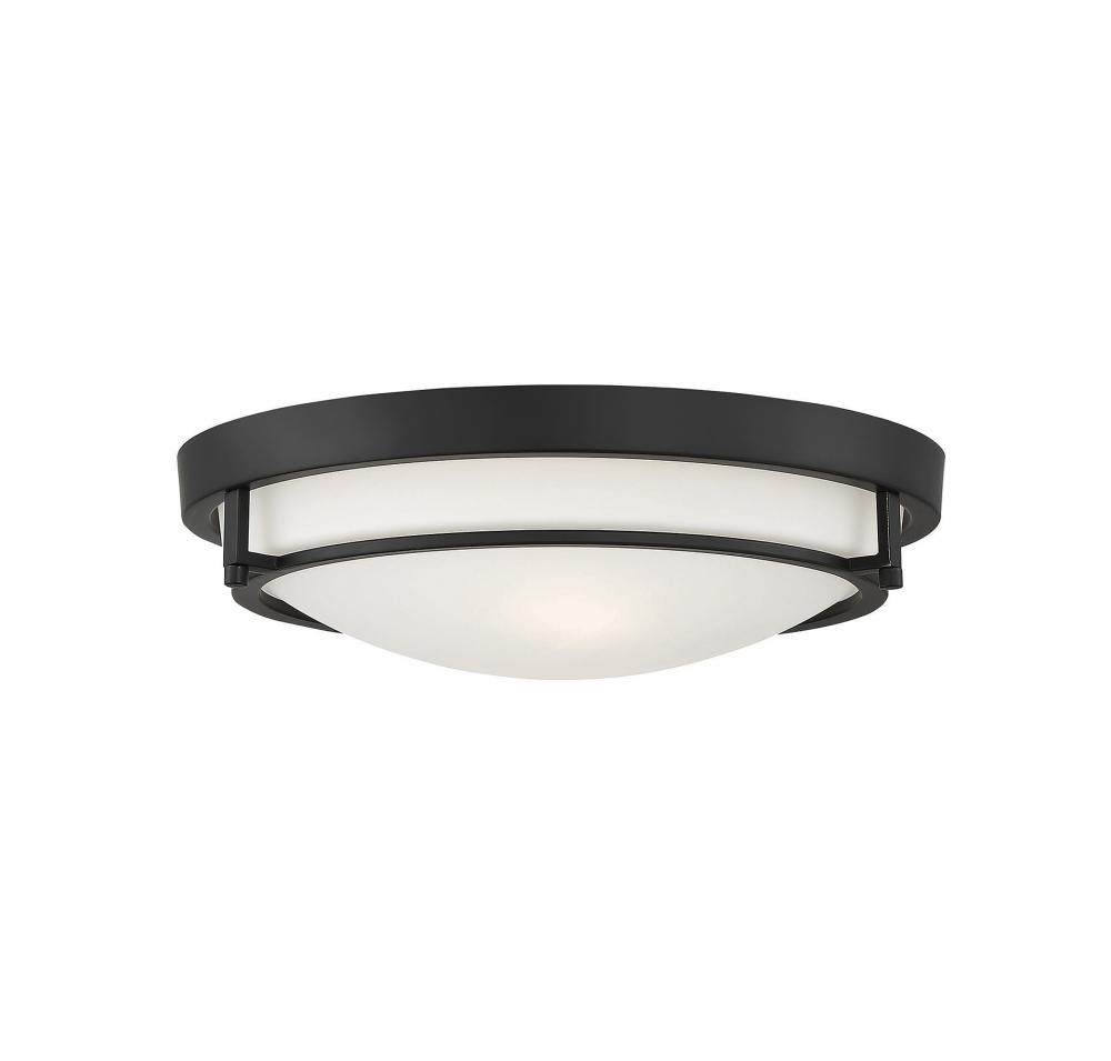 2-Light Ceiling Light in Matte Black