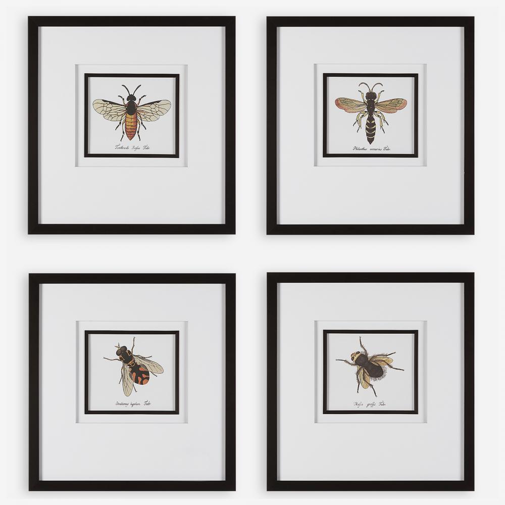 Anthophila Framed Prints, S/4