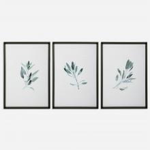 Uttermost 33723 - Simple Sage Watercolor Prints, S/3